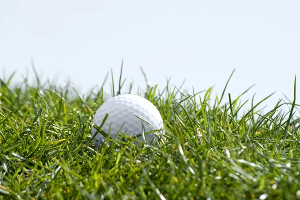 Гольф мяч в траве — стоковое фото