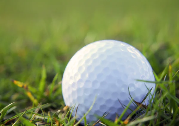 Golf ball in rough grass — Stock Photo, Image