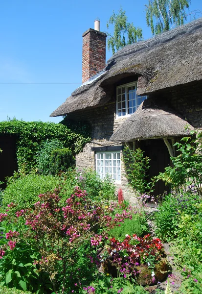 English cottage garden — Stock Photo, Image