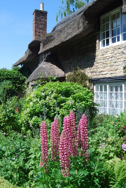 Thatched cottage garden — Stock Photo, Image