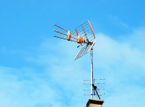 Antena telewizyjna na dachu — Zdjęcie stockowe