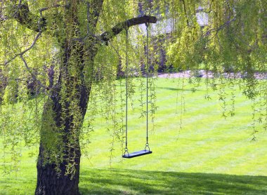 Emty swing in garden clipart