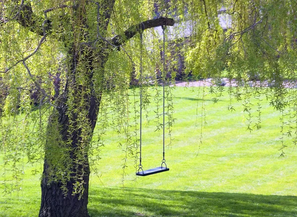 Emty swing en el jardín — Foto de Stock