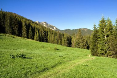 Tatra Mountains Landscape clipart