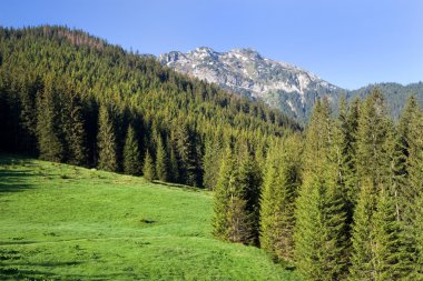 Tatra Mountains Scenery clipart