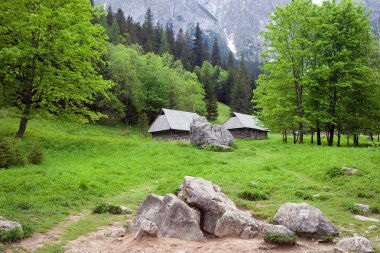 Beautiful Valley in the Tatra Mountains clipart