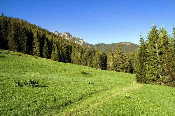 Tatra Mountains Landscape — Stock Photo, Image