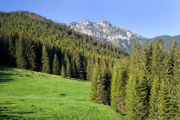 Tatra Mountains Scenery — Stock Photo, Image