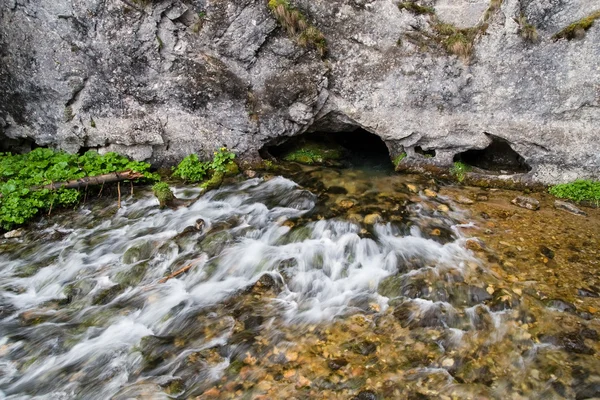 Stream vanaf de grot — Stockfoto