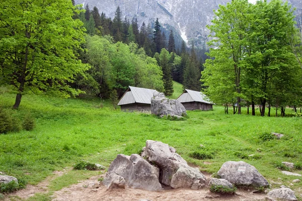 Piękne doliny w Tatrach — Zdjęcie stockowe
