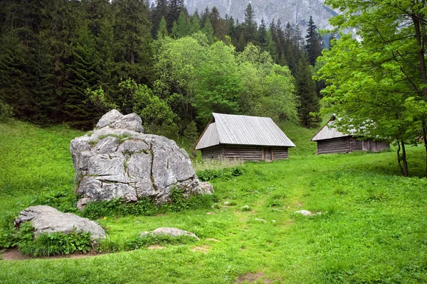 Valea Frumoasă din Munții Tatra — Fotografie, imagine de stoc