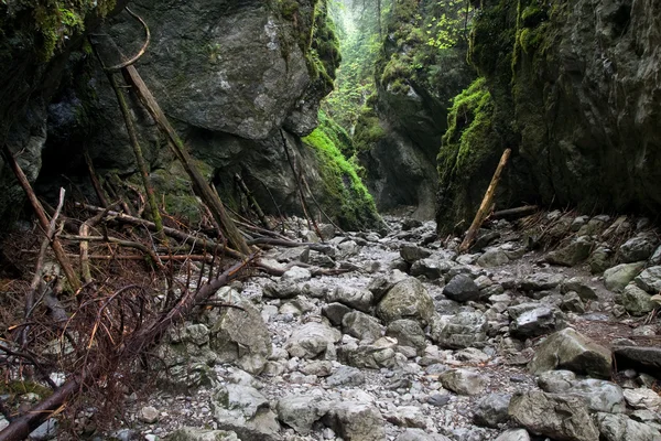 Cracow Gorge in the Tatra Mountains — Stock Photo, Image