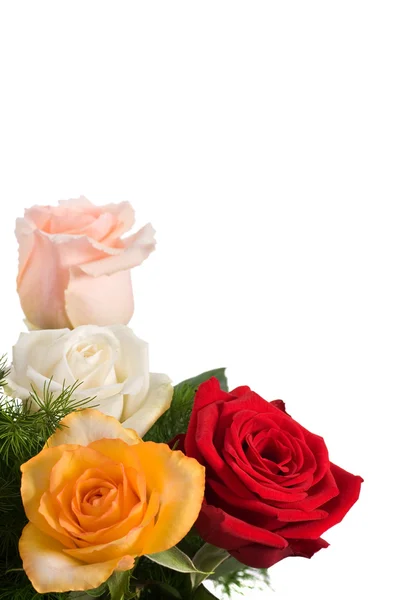 Bouquet of Roses — Stock Photo, Image
