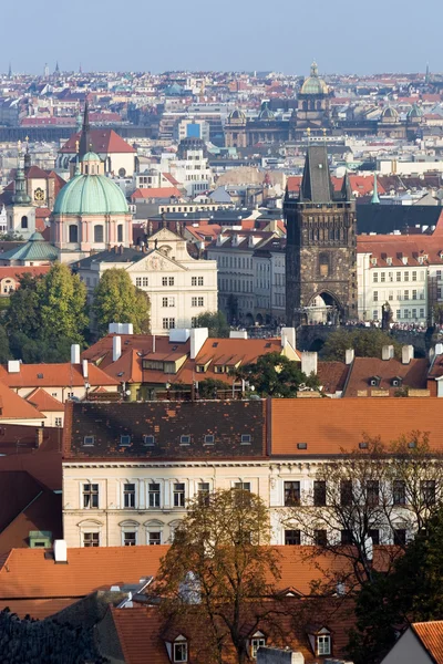 Praha – stockfoto