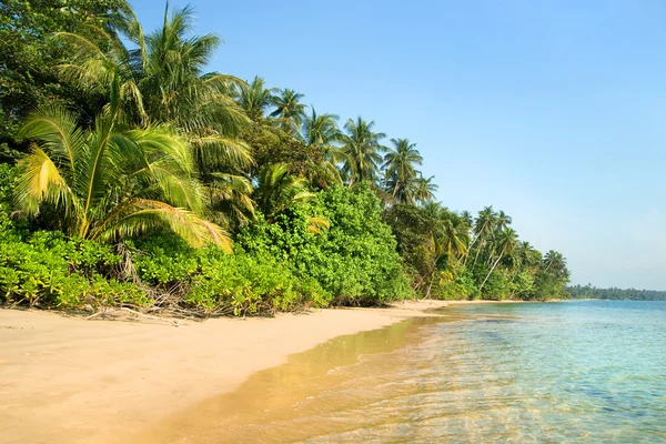 Tropický ostrov na šířku — Stock fotografie