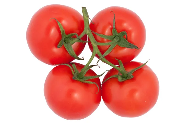 stock image Ripe Tomatoes