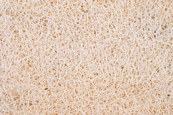 Loofah Sponge Texture — Stock Photo, Image