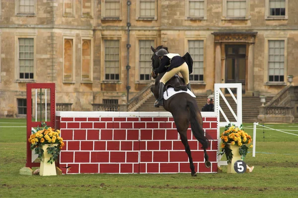 stock image Jump