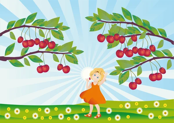 A little girl looks at ripe cherries — Stock Photo, Image