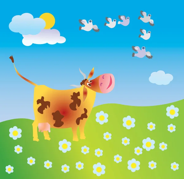Cow on to the meadow — Stock Photo, Image