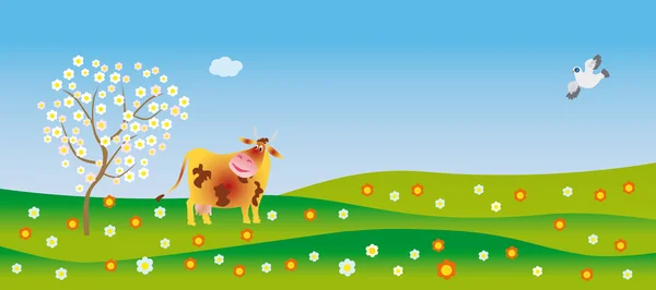 Eine Kuh bewundert im Frühling — Stockfoto