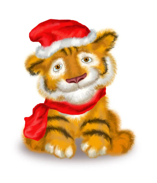 Ein Tigerbaby steckt in einer kleinen Mütze und einem Schal — Stockfoto
