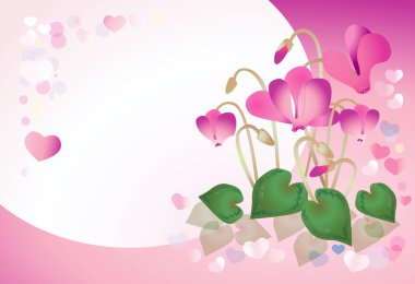 Pink cyclamen on a pink background clipart