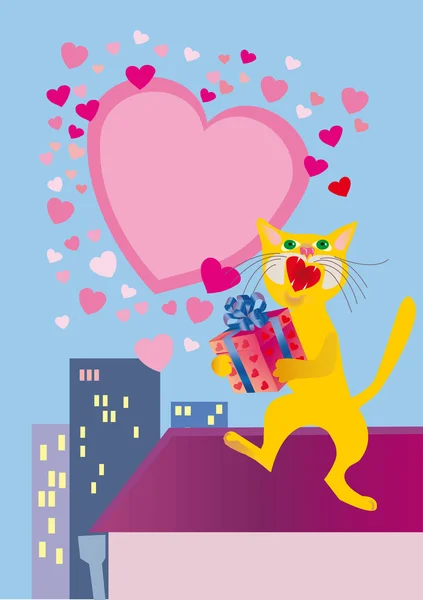Ária apaixonado de no gato de amor — Fotografia de Stock