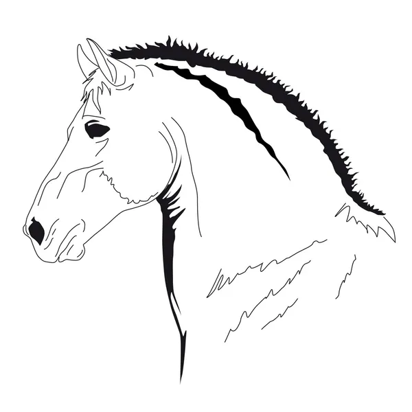 Pysk konia — Wektor stockowy
