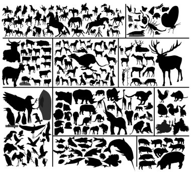 Different animals. clipart