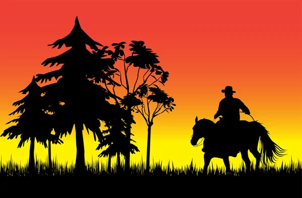 Cowboy på en häst — Stock vektor