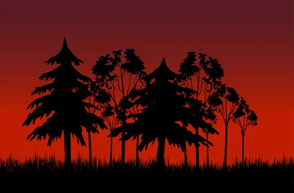 Βράδυ δάσος — Διανυσματικό Αρχείο