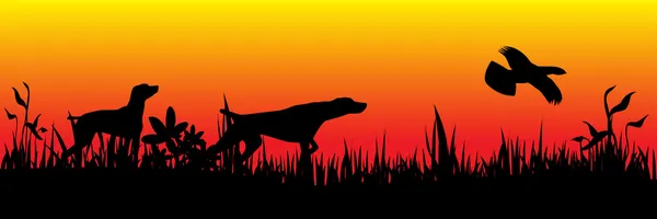 鳥の狩猟犬 — ストックベクタ