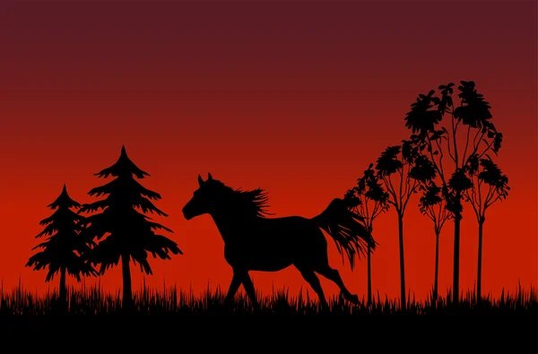 Cavalo Gallopung —  Vetores de Stock
