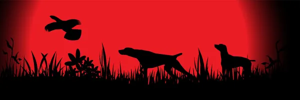 Jachthonden — Stockvector