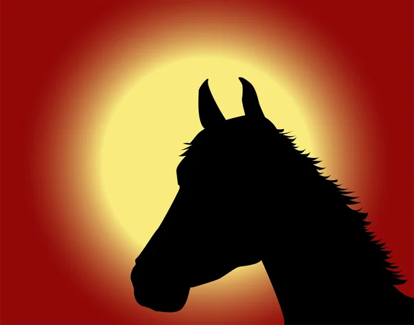 Cavalos focinho 2 — Vetor de Stock