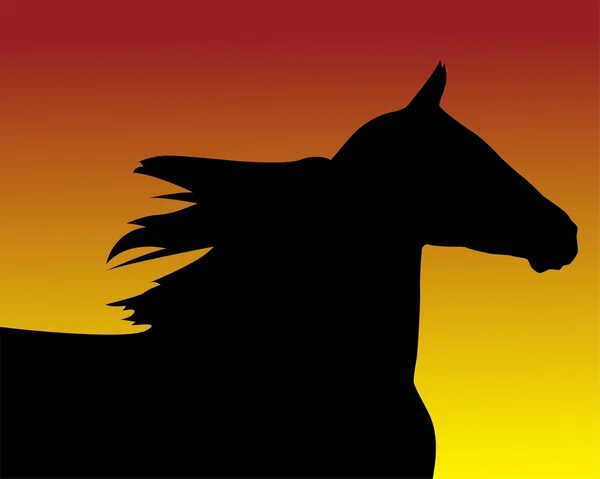 Tlamy koně v klusu po západu slunce — Stockový vektor