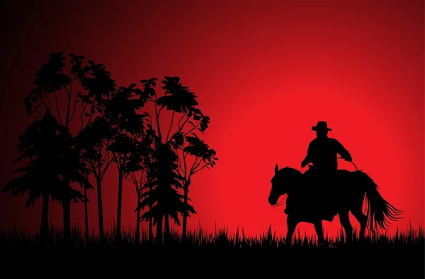 Cowboy sur un cheval 2 — Image vectorielle