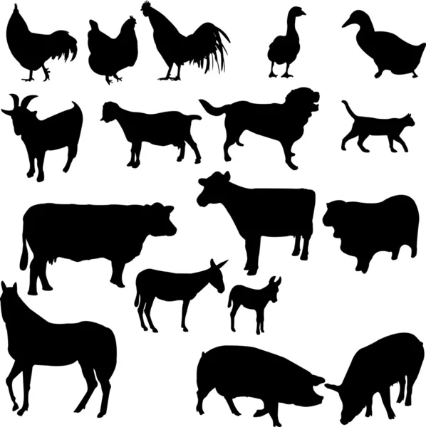 Farm animals — Stock Vector
