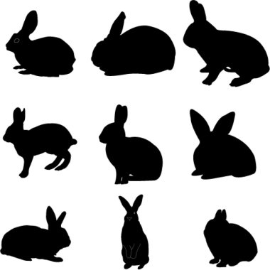 Rabbits clipart