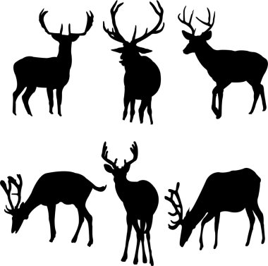 Deers - vector set clipart