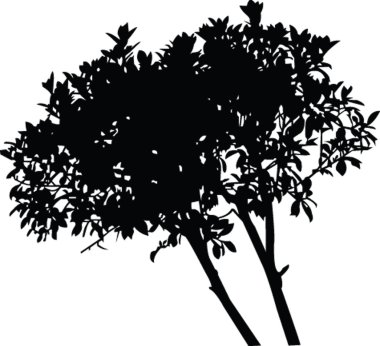 Tree clipart