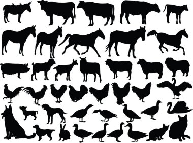 Farm animal collection clipart