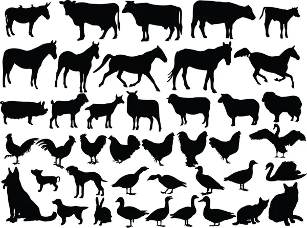 Collection d'animaux de ferme — Image vectorielle