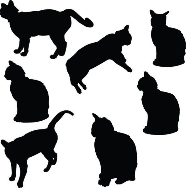 Recolha de gatos — Vetor de Stock