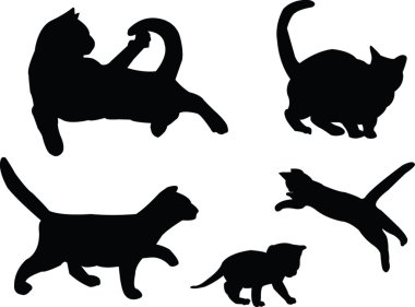 Cat collection clipart