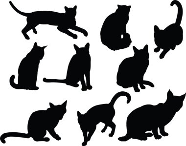 Kediler siluet koleksiyonu