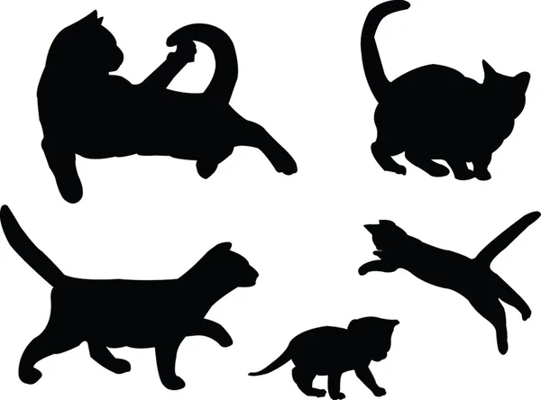 Kedi koleksiyonu — Stok Vektör
