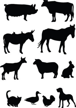 Domestics animal silhouette clipart
