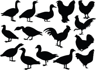 Farm birds silhouette clipart